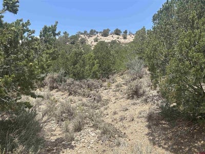 /international/us/slegers-road-lot-2653-fort-garland-co-110119545697/