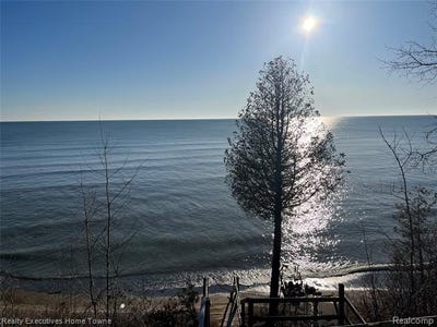 /international/us/2255-lakeshore-road-sanilac-twp-mi-110105929407/
