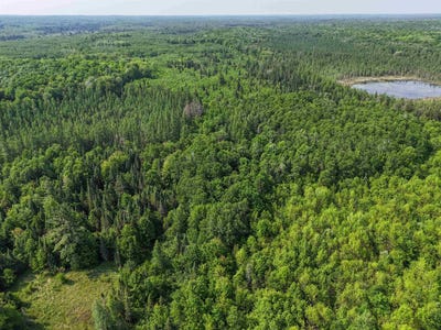 /international/us/121-49-acres-forest-road-602-butternut-wi-110099880565/?lang=zh-tw