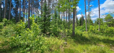 /international/us/baade-rd-lot-2-monico-wi-110108999755/