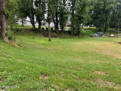 /international/us/dogwood-lane-jacksboro-tn-110100564482/