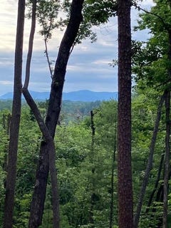/international/us/lot-132-red-oak-trail-ellijay-ga-110108988532/