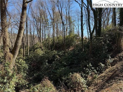 /international/us/wonderland-trail-blowing-rock-nc-110106588217/