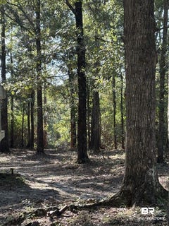 /international/us/40703-county-road-39-bay-minette-al-110110363201/