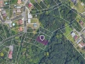 /international/us/wellesley-avenue-lot-204-coraopolis-pa-110103738093/