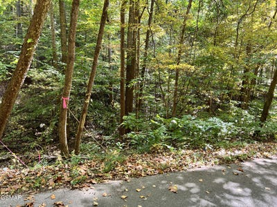 /international/us/1875-dyer-hollow-road-mosheim-tn-110099339893/