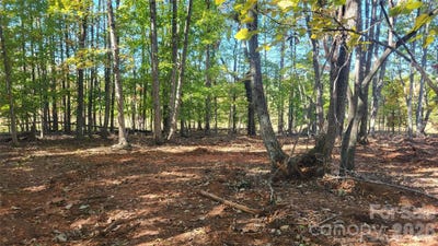 /international/us/1056-stephens-trail-road-sandy-ridge-nc-110102691294/