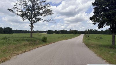 /international/us/meadow-view-dr-lot-246-hillister-tx-110119682989/