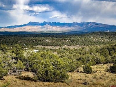 /international/us/tbd-road-35-mancos-co-110101339386/