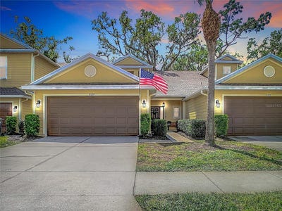 /international/us/8539-sandpiper-ridge-avenue-tampa-fl-110098455077/