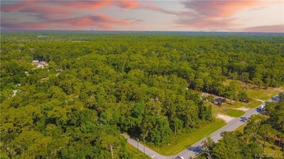 /international/us/9567-w-poplar-street-crystal-river-fl-110108741230/