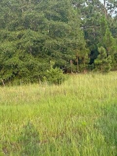 /international/us/0-hancock-landing-road-waynesboro-ga-110100257337/?lang=zh-cn