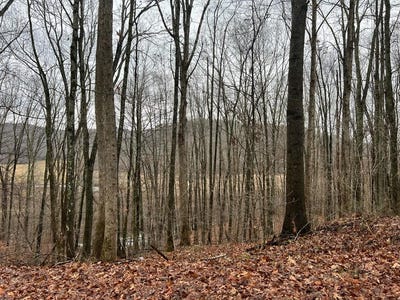 /international/us/wildcat-hill-road-gap-mills-wv-110081253812/