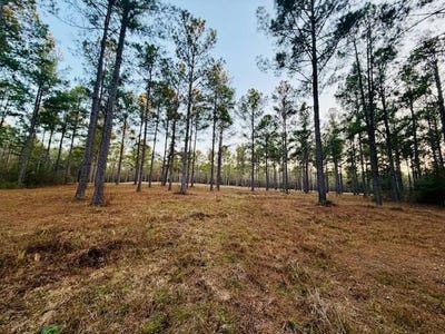 /international/us/750-shadow-creek-drive-camden-al-110105326005/