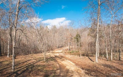 /international/us/760-county-road-203-annapolis-mo-110106617623/