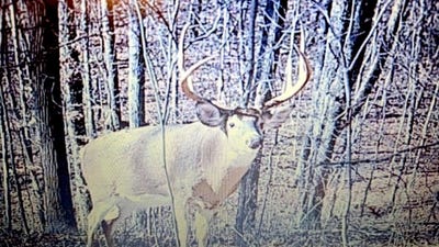 /international/us/11834-st-rt-327-wellston-oh-110108980930/