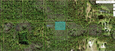 /international/us/n-a-polk-city-fl-110094195706/?lang=en