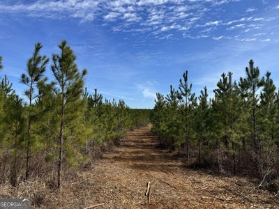 /international/us/018-dozier-ellaville-ga-110101499797/