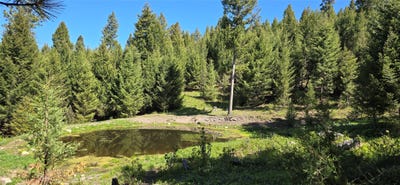 /international/us/4-tract-bull-elk-drummond-mt-110106439070/