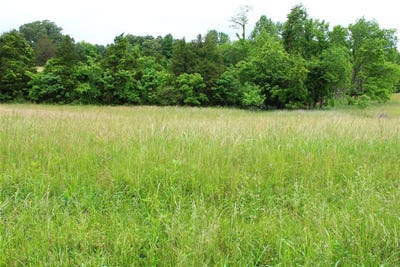 /international/us/645-calvert-road-adolphus-ky-110099906965/