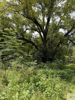 /international/us/1057-county-road-3230-clarksville-tx-110097474368/