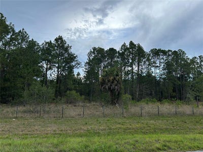 /international/us/se-60th-avenue-morriston-fl-110109446546/