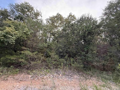 /international/us/0-big-buck-lane-williford-ar-110101253952/?lang=zh-tw