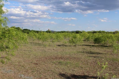 /international/us/245-county-road-356-utopia-tx-110120684138/