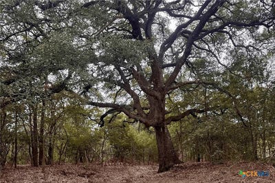 /international/us/12-acres-mt-pleasant-rd-cedar-creek-tx-110110273370/