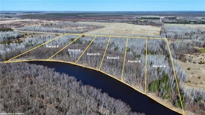 /international/us/lot-a-county-road-79-littlefork-mn-110108016733/