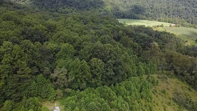 /international/us/scenic-dr-rich-creek-va-110100474737/