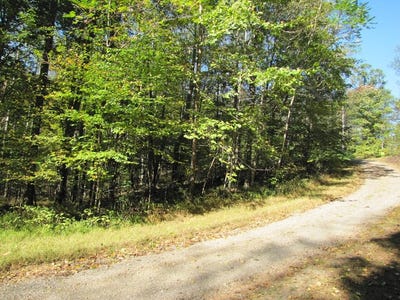 /international/us/melmark-acres-trail-lot-42-stuart-va-110046943812/