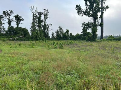 /international/us/4569-firestone-lane-lake-park-ga-110098933878/