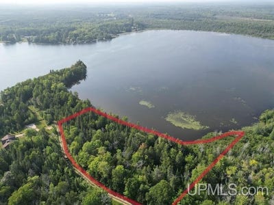 /international/us/n-milakokia-lake-road-gould-city-mi-110086211451/