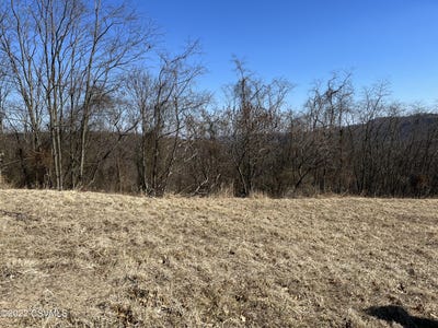 /international/us/lot-no-53-madison-street-northumberland-pa-110043922529/?lang=zh-tw