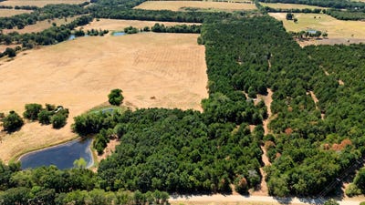 /international/us/2460-county-road-1220-savoy-tx-110110107616/