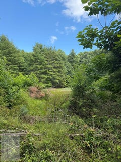 /international/us/cornbread-ridge-princeton-wv-110109131650/