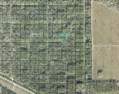 /international/us/lt-1013-olson-street-hastings-fl-110120089701/