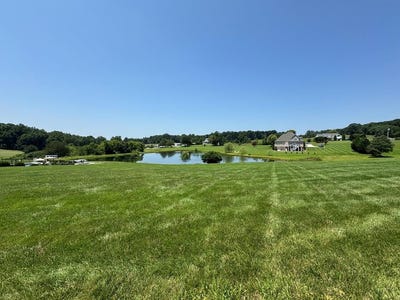 /international/us/duck-pond-appomattox-va-110100757879/