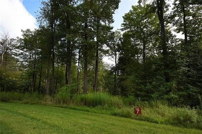 /international/us/lot-7-ptarmigan-way-seven-springs-resort-pa-110099062475/?lang=zh-tw