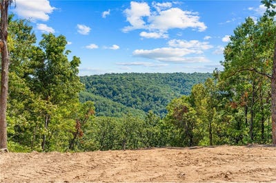 /international/us/12538-country-ridge-lot-14-omaha-ar-110120627335/