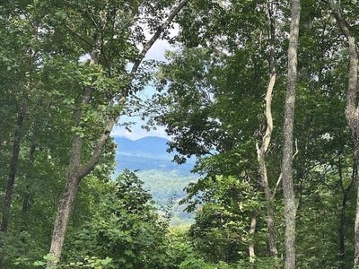 /international/us/lt-64-65-rocky-knob-estates-lot-64-65-young-harris-ga-110101726233/