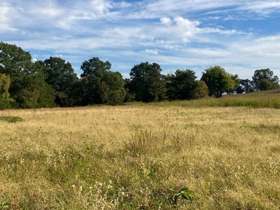 /international/us/tiffee-road-lot-3-howe-ok-110110369235/