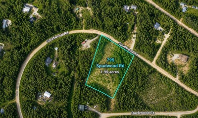 /international/us/795-spudwood-road-lot-11-fairbanks-ak-110108578780/
