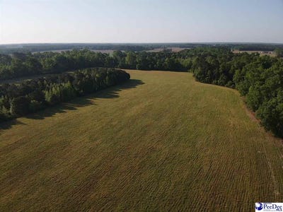 /international/us/tbd-tobacco-land-road-dillon-sc-110107263886/