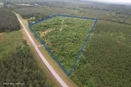 /international/us/ferguson-mill-road-silver-creek-ms-110107895665/