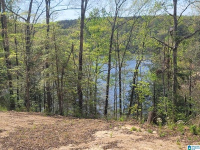 /international/us/458-county-road-4036-lot-0-arley-al-110108501368/