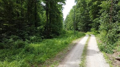 /international/us/1-highway-1760-louisa-ky-110101039162/?lang=pt