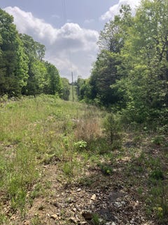 /international/us/county-road-v-234-drury-mo-110107656083/