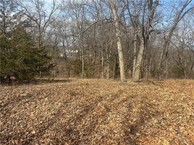 /international/us/lot-3109-lake-viking-terrace-altamont-mo-110106816789/